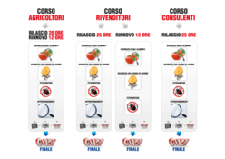 CORSI ONLINE COMPAG.png