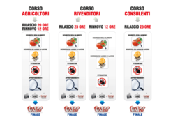 CORSI ONLINE COMPAG.png