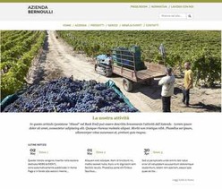 Sito web Associati Compag