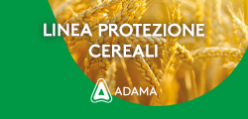 Linea cereali_250x120.png