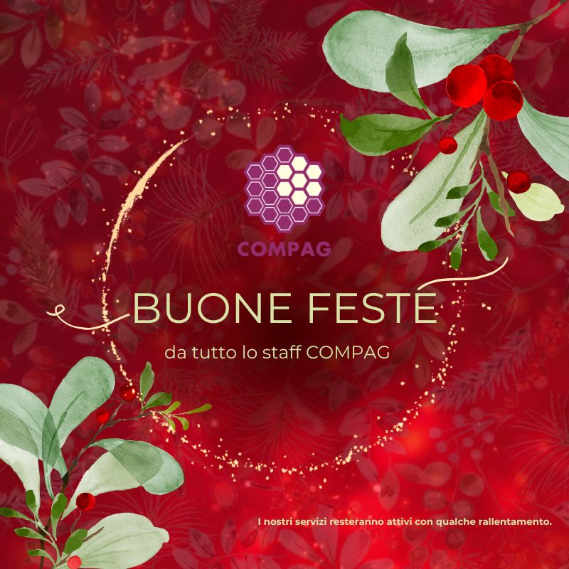 buone feste (800 x 800 px) (4).jpg