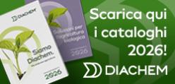 BANNER DIACHEM FEBBRAIO-MARZO 2026.jpg