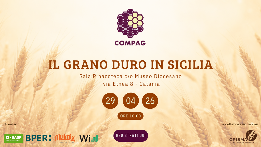 Il grano duro in Sicilia