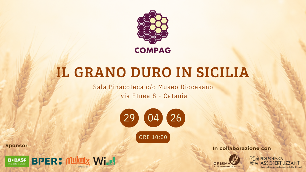 Il grano duro in Sicilia